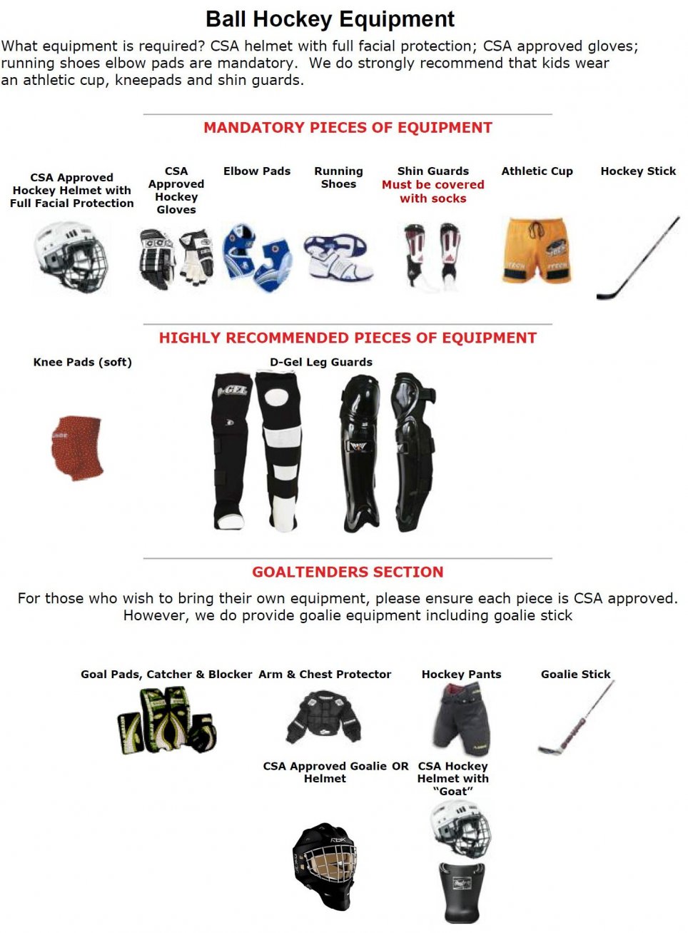 NEW TECUMSETH BALL HOCKEY LEAGUE (NTBHL) powered by GOALLINE.ca